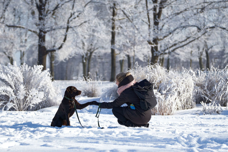 Dog and woman sitting on snow covered tree