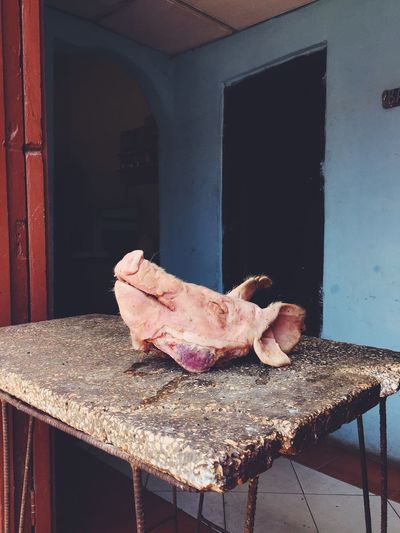 Close-up of pig head on table at shop