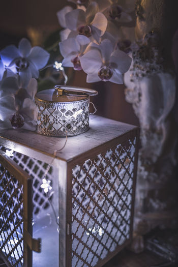 Close-up of potted plants on table at home