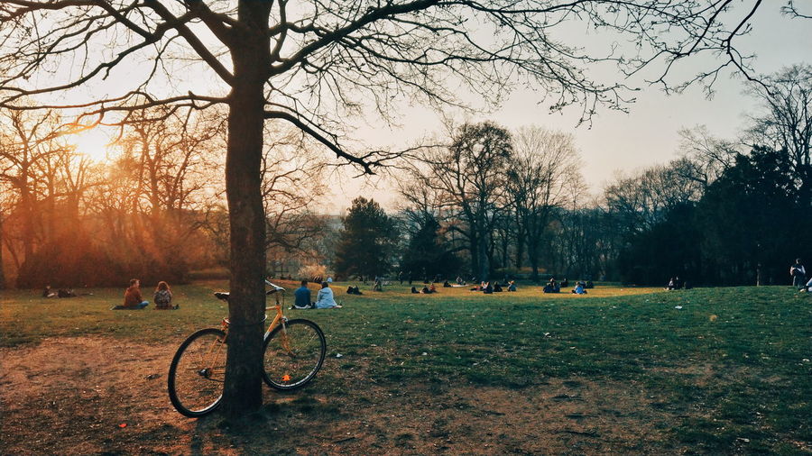 Bicycle on field in park