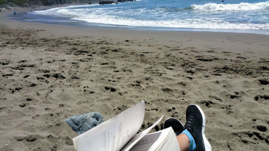 Low section of person with book at beach