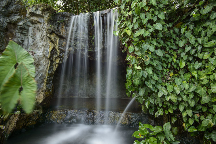 Scenic view of waterfall at singapore botanic gardens
