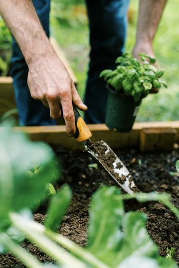 Photo of a man working in the vegetable garden