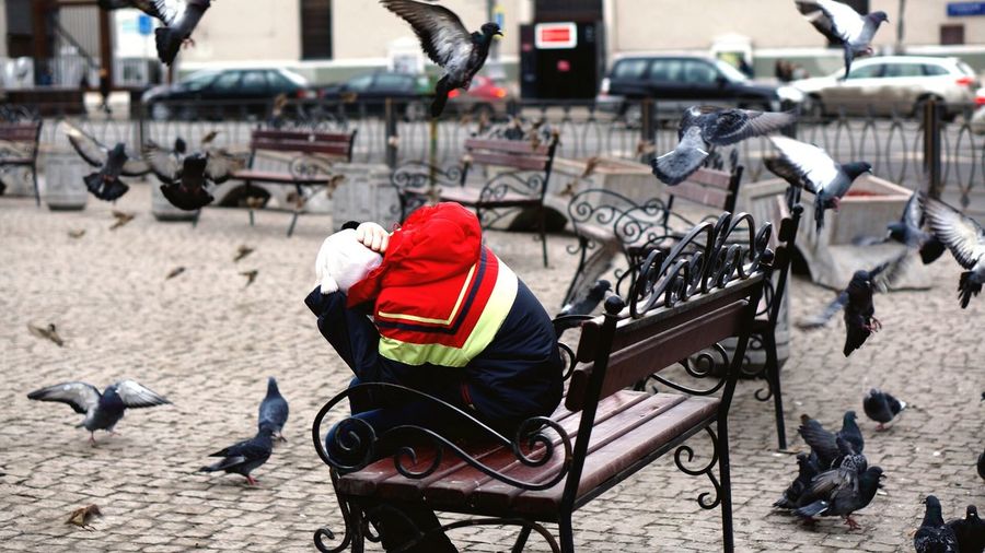 Person on bench in square amid flying pigeons