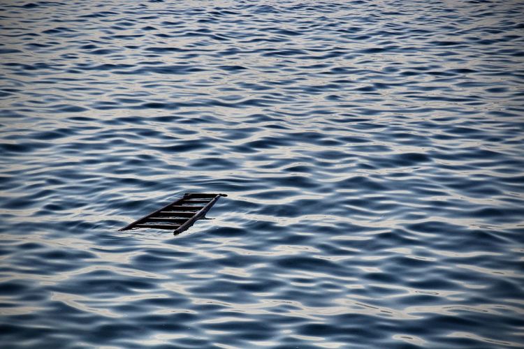 High angle view of bird flying over lake