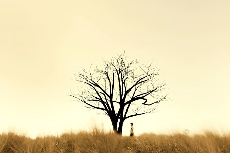 A man standing beside a lone bare tree on a field against clear sky 