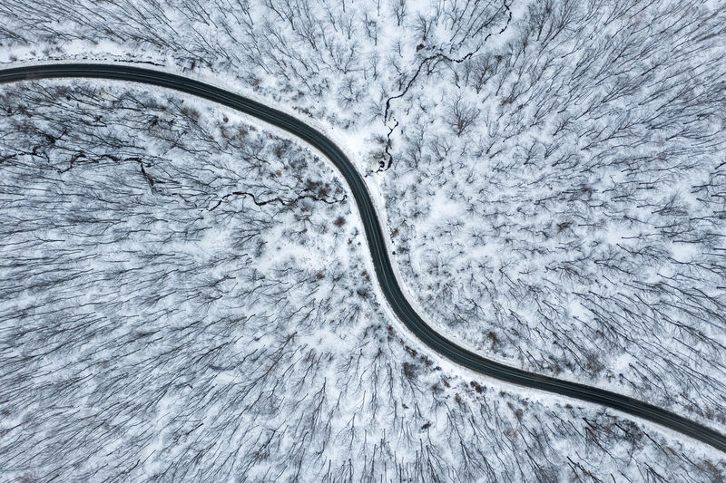 Winter winding asphalt road in the forest. aerial drone above view