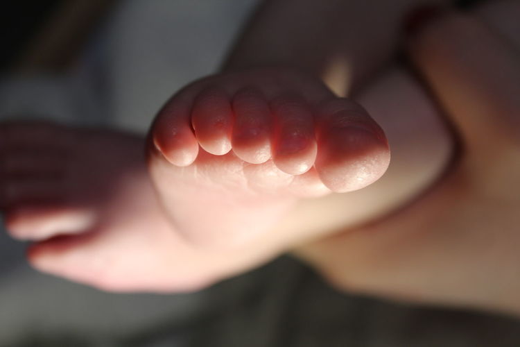 Extreme close-up of baby feet at home