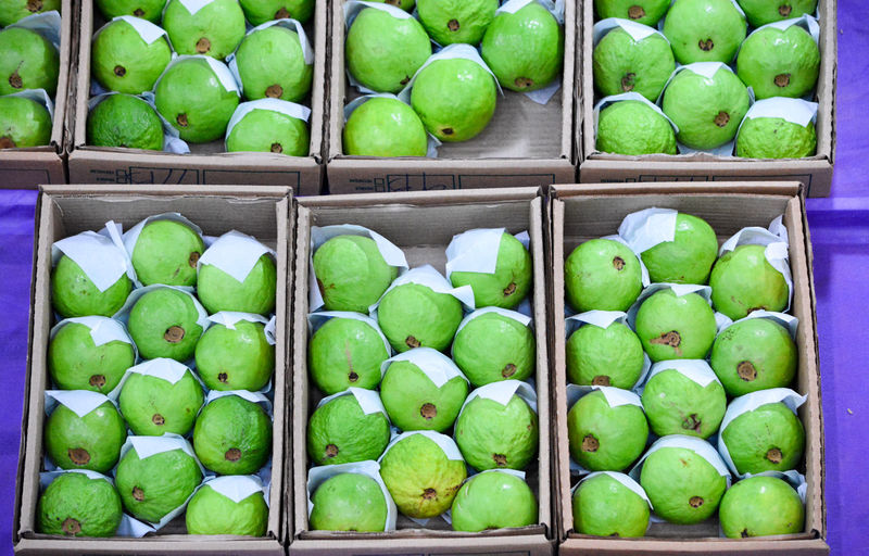 Green guavas for sale in market