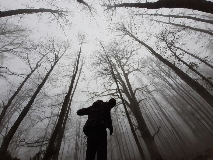 Low angle view of man amidst bare trees in forest