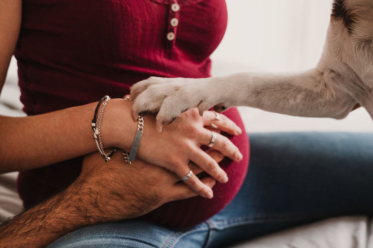 Midsection of pregnant couple with dog on bed