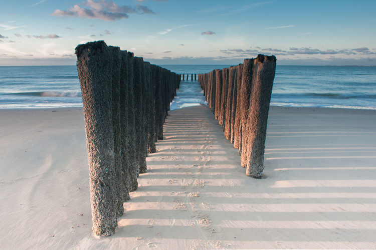 Row of wooden logs on beach