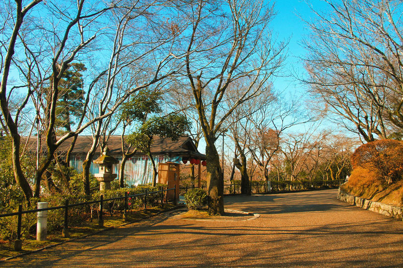 Footpath amidst bare trees and buildings against sky