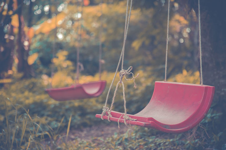 Close-up of swings at park