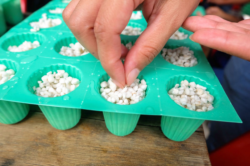 Cropped hands putting seeds in seedling tray on table