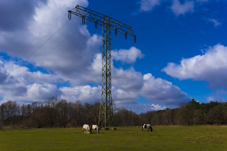 3 horses eating on a meadow in spring, iron mast for power lines,cloudy sky