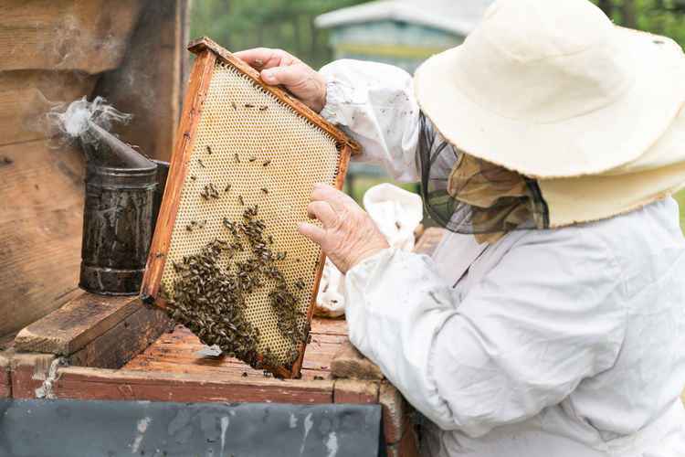 Beekeeper holding up tray of honeycomb at park