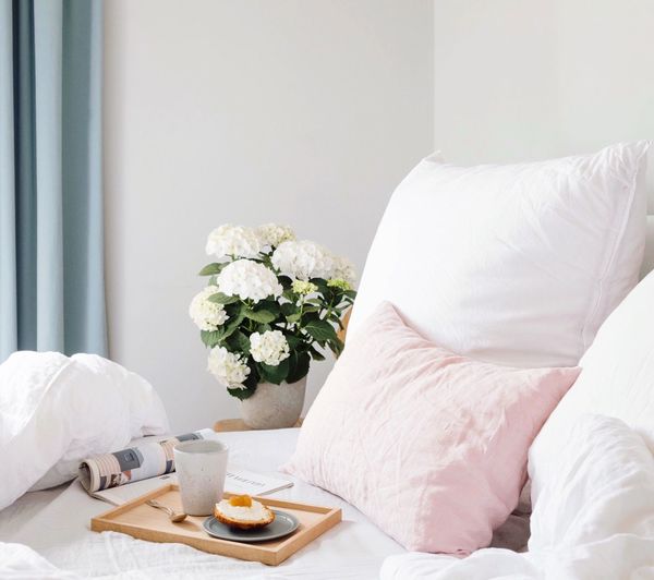 Close-up of white flowers in vase on bed
