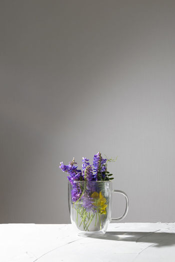 Flower pot on table against white background