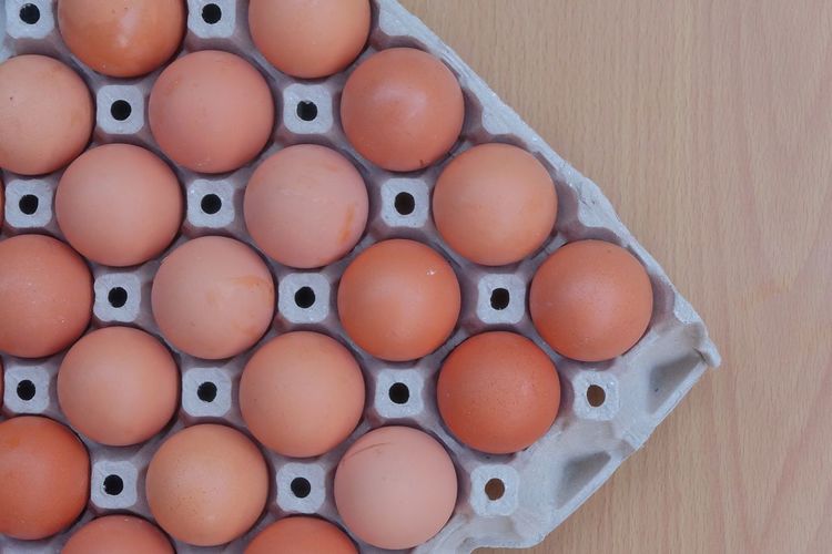High angle view of eggs on table