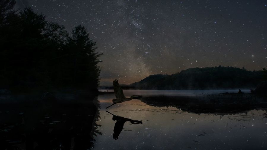 Scenic view of lake against sky at night