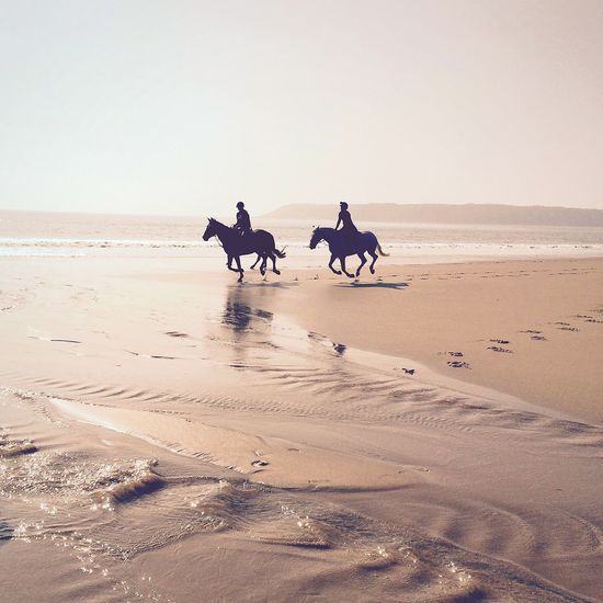 People riding horses at beach against sky