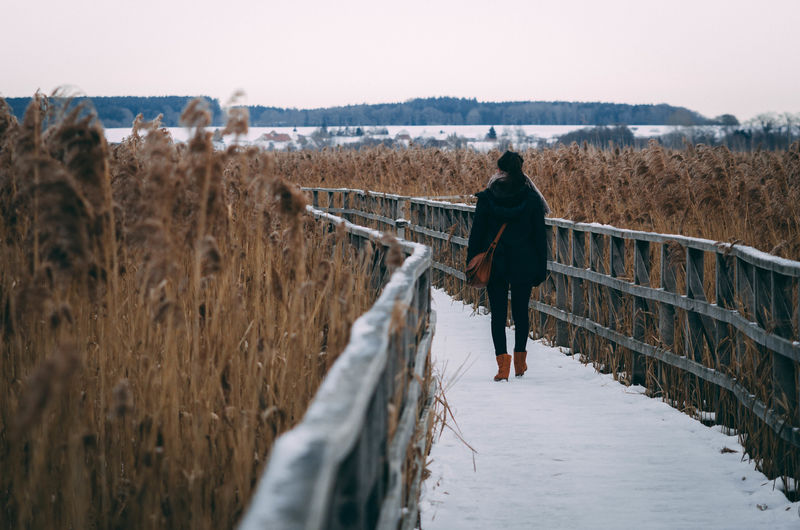 Rear view of woman walking on boardwalk amidst reed during winter