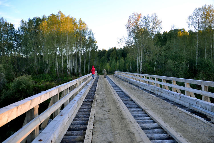 People on footbridge leading towards forest