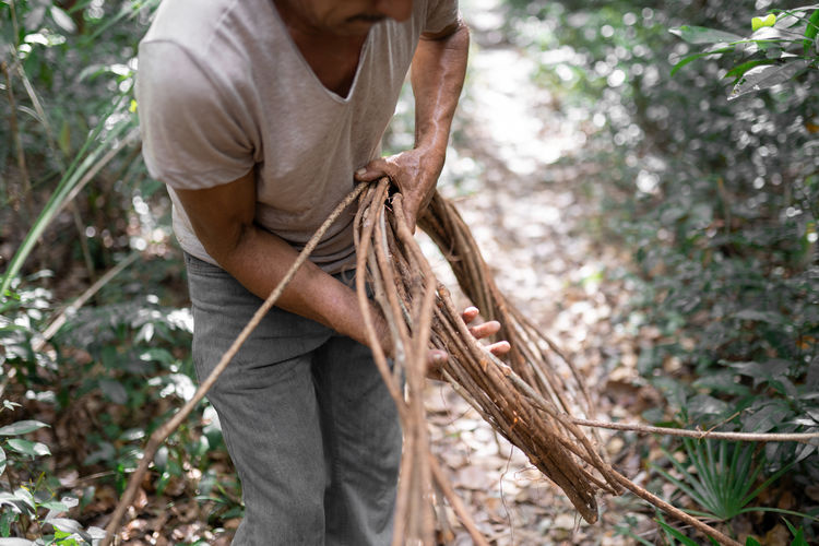Male worked weaving long tree branches while working in nature with tall green trees on summer day