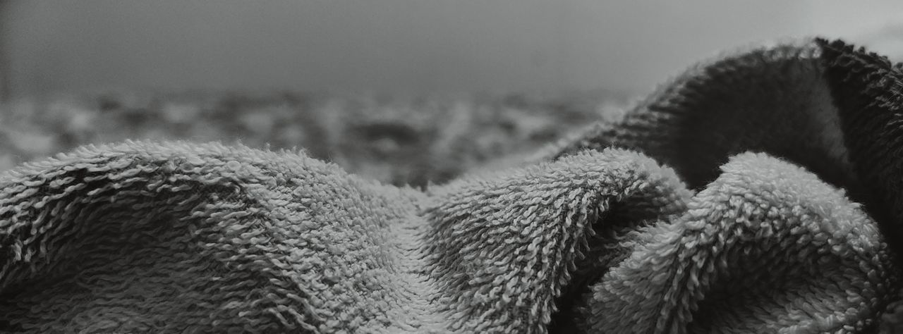 close-up