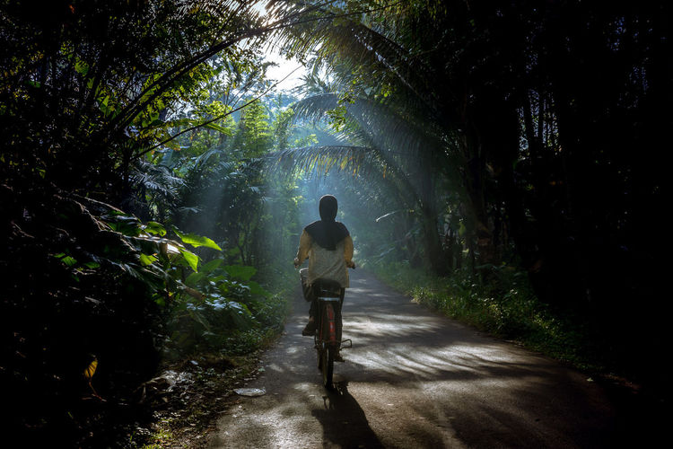 Rear view of a woman bicycling on road in forest