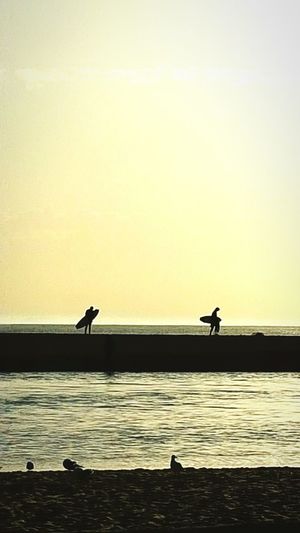Silhouette of people at sunset