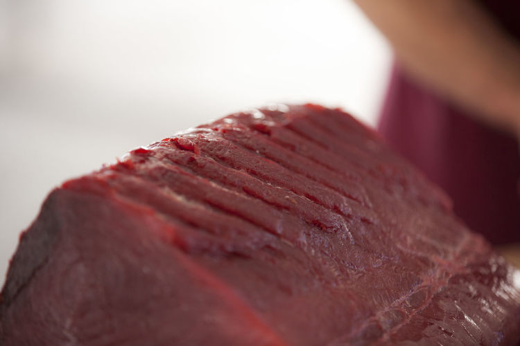 Close-up of tuna fish