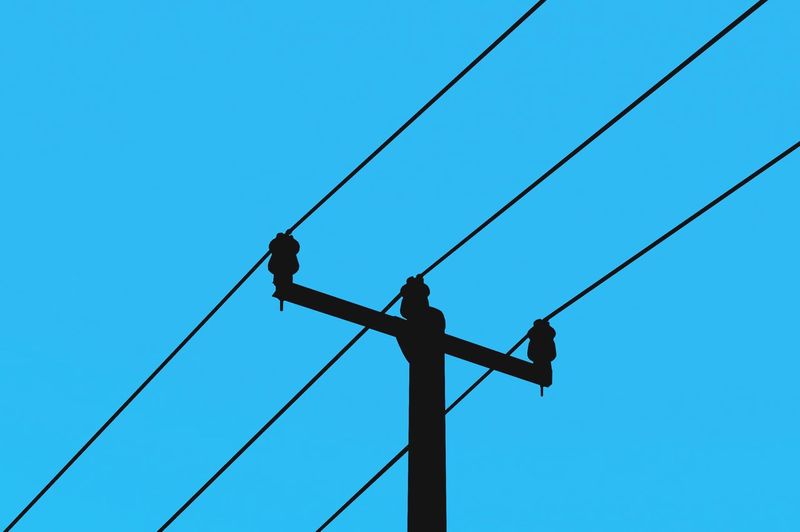 Low angle view of bird perching on cable