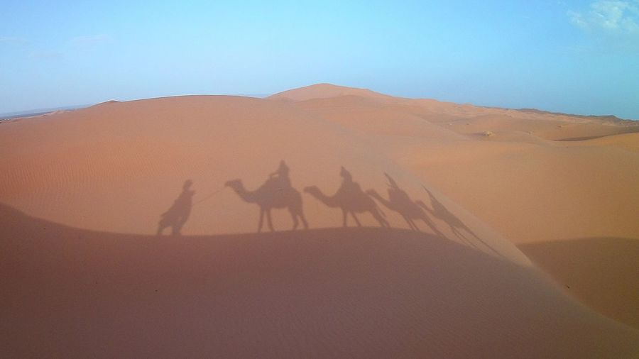 Shadow of camel train in desert against sky