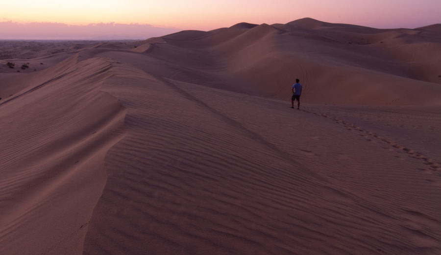 Scenic view of desert during sunset