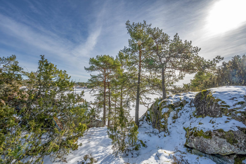 Nature reserve in winter with snow