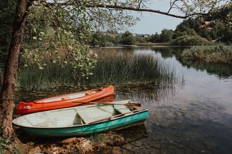 Boat moored on lake in forest