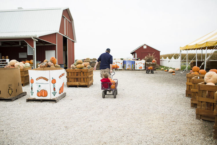 Dad pulling son and daughter in wagon at pumpkin farm in fall