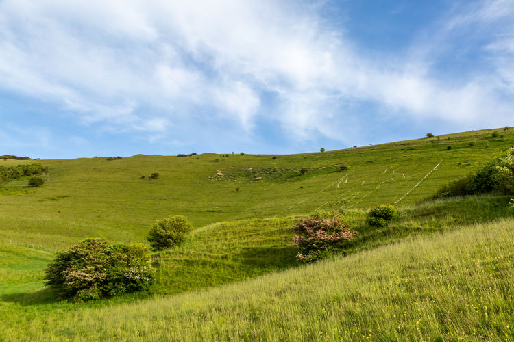 Looking up at the figure of the long man of wilmington, on windover hill in sussex