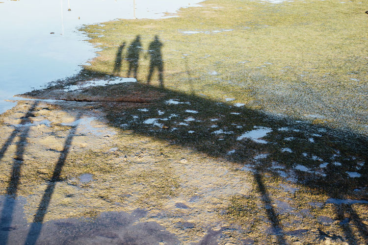 High angle view of person shadow on puddle