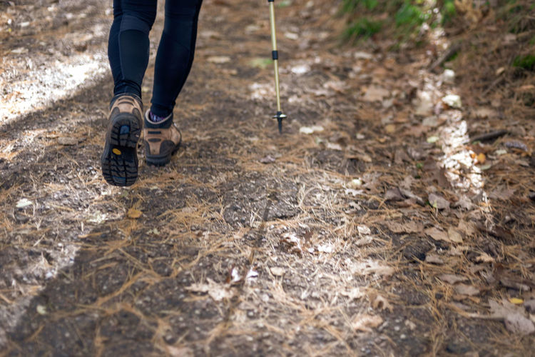 Low section of woman with hiking pole walking on land in forest