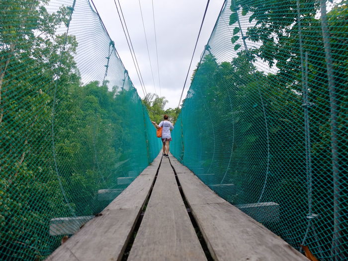 Rear view of woman walking on footbridge amidst trees in forest