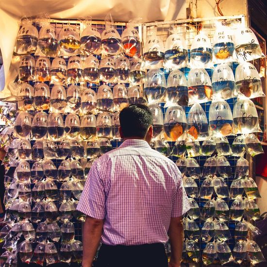 Rear view of man looking at fish in plastic bags for sale in shop
