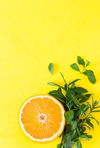 Orange fruit against yellow background
