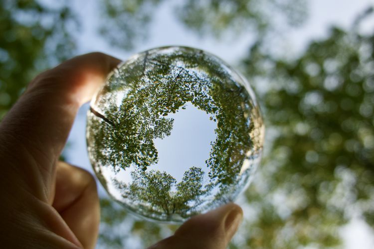 Midsection of person holding crystal ball against trees