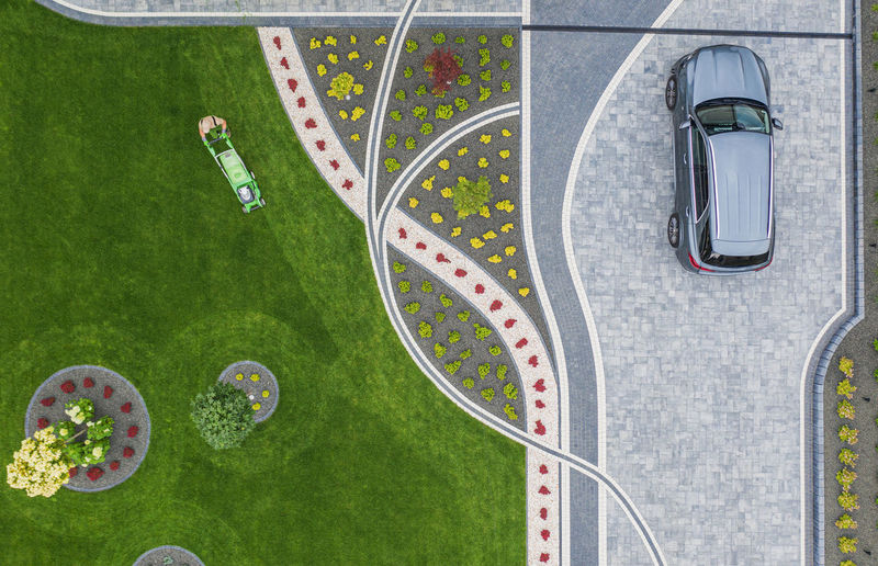 High angle view of plants on lawn