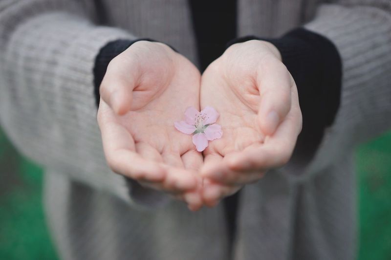Close-up of hands holding a flower