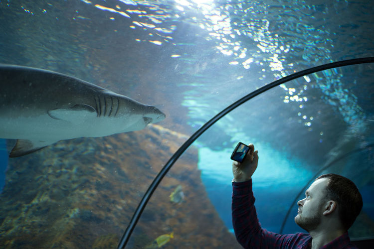 Young man photographing fish in aquarium