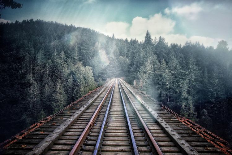 Railroad tracks in forest against sky